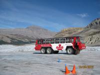 Auf dem Columbia Icefield