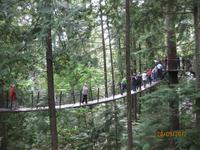 Ein Klettervergnügen in schwindelerregender Höhe