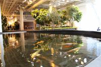 Devonian Garden in Calgary