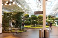 Devonian Garden in Calgary