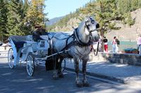 Pferdekutsche am Bow Fluss