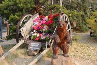 Wanderung am Johnston Canyon