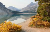 Bow Lake am Icefield Parkway