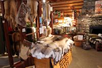 Souvenirladen am Bow Lake