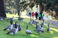Wanderung am Lac Beauvert im Jasper-Nationalpark