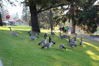 Wanderung am Lac Beauvert im Jasper-Nationalpark