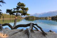 Wanderung am Lac Beauvert im Jasper-Nationalpark