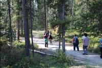 Spaziergang am Maligne Canyon im Jasper Nationalpark