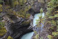 Spaziergang am Maligne Canyon im Jasper Nationalpark