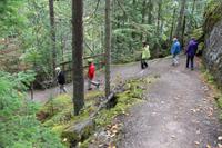 Spaziergang zu den Overlander Falls im Mount Robson Park