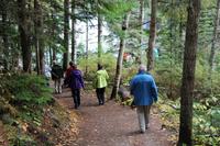 Spaziergang zu den Overlander Falls im Mount Robson Park