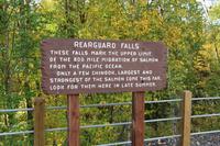 Rearguard Falls