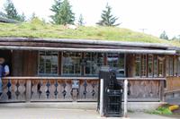 Im Hippie-Laden Goats on Roof - Ziegen auf dem Dach