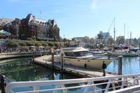 Inner Harbour von Victoria - unsere Yacht zur Walbeobachtung
