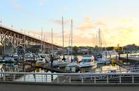 Abendstimmung am Yachthafen vor Granville Island in Vancouver