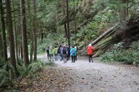 Wanderung im grünen Norden von Vancouver