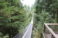 Hängebrücke im Capilano Suspension Park Vancouver