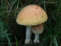 Natur pur am Lac Taureau