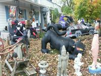 Halloween-Vorbereitung am Cap Santé