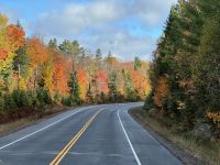 5. Tag – Huntsville bis Ottawa – Fahrt durch die herbstliche Landschaft auf dem Highway 60
