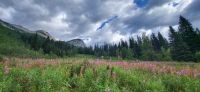 53 Wanderung Emerald Lake