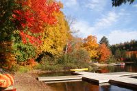 54 Oxtongue Lake