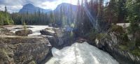 57 Natural Bridge