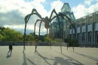 58  Spinne am Kunstmuseum