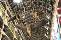 Kanadagänse im Eaton Centre Toronto