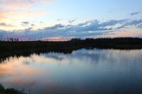 Abendstimmung beim Blick aus dem Zug