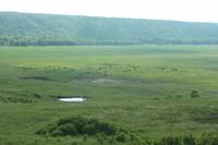Zugfahrt durch die Prärie von Winnipeg nach Edmonton