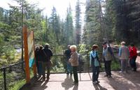 Spaziergang am Maligne Canyon im Jasper-Nationalpark
