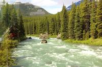 Maligne River im Jasper-Nationalpark