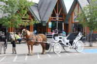 Pferdekutsche in Jasper