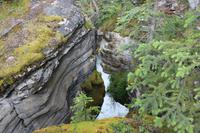 Athabasca Wasserfall