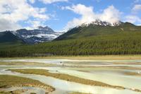 Panoramafahrt entlang des Icefield Parkway