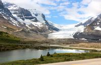Athabasca Gletscher und Columbia Eisfeld