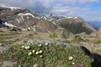 2277 Meter hoch auf dem Whistlers Mountain