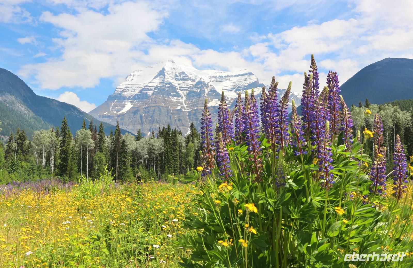 Mount Robson - höchster Berg der kanadischen Rocky Mountains