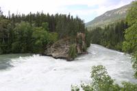 Rearguard Falls am Fraser River - bis hierhin kommen die Lachse