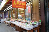 Stadtrundfahrt in Vancouver - Chinatown