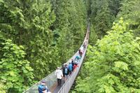 Capilano Suspension Hängebrücke