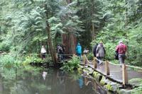 Rundgang im Capilano Suspension Park bei Vancouver