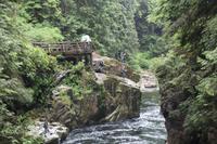 Angler am Capilano River bei Vancouver