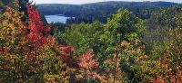63 Algonquin Visitor Center