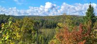 63 Blick in den Algonquin Park