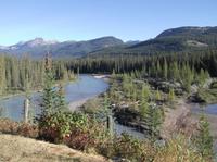 Stopp im Nationalpark von Banff