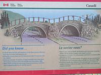 Übergänge für Tiere geschaffen