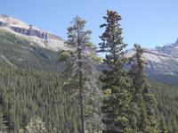 Landschaftsimpressionen