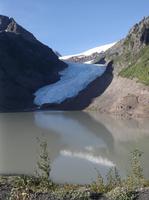 Noch einmal der Beargletscher